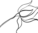 Group-19.png